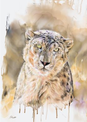 snow leopard