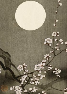 Cherry tree at full moon