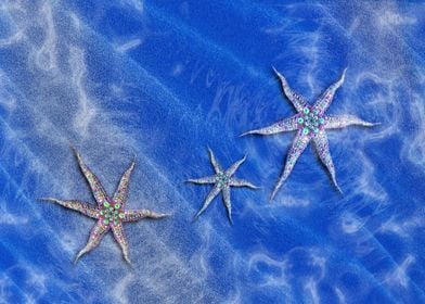 Starfish on a blue sand