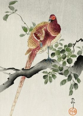 Pheasant on tree woodblock