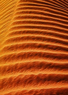 Wavy Sand Dune