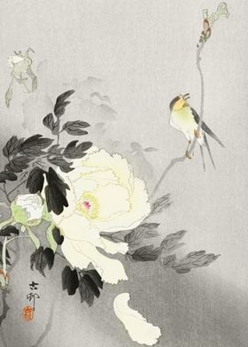 Swallow and peony flower