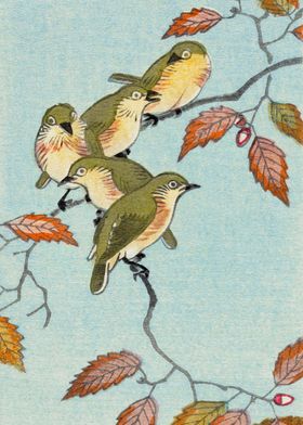 Birds on tree branch print