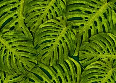 Fern Leaves