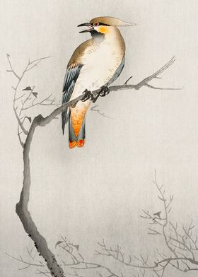 Bird on tree woodblock