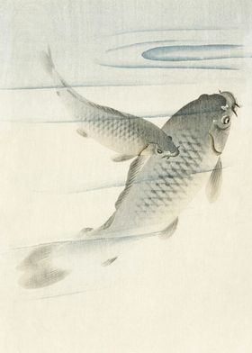 Two carp fish woodblock