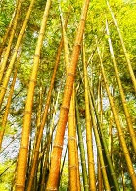 Bamboo Forest