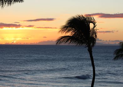 Hawaiian Sunset