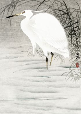 Egret in water woodblock