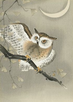 Owl and Moon woodblock art