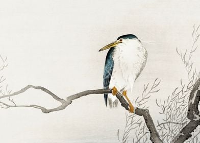 Bird on tree branch print