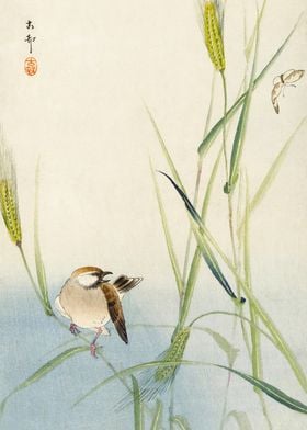 Sparrow and butterfly art