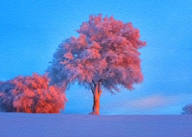 Pink Tree in the Snow