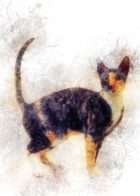 Cat 15