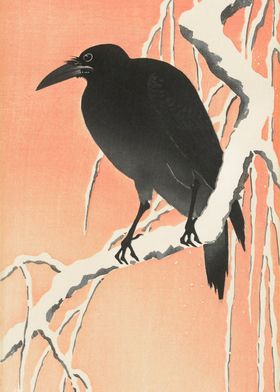 Crow on snowy branch print