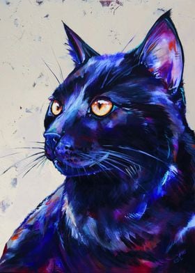 Tabitha Black Cat Portrait