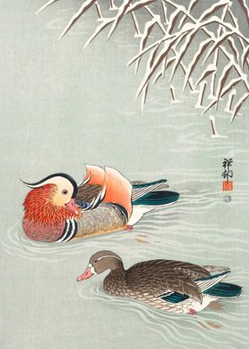 Couple mandarin duck print