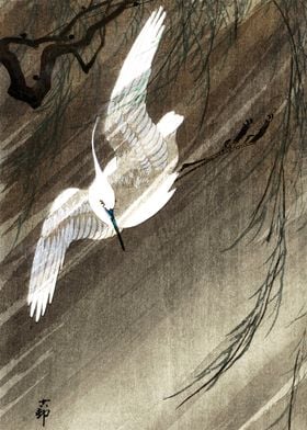 Egret flying in storm art