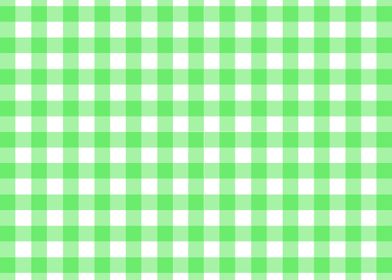Gingham In Green