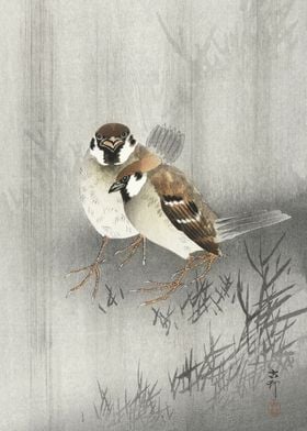 Sparrows in the rain print