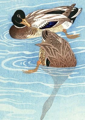 Ducks diving woodblock art