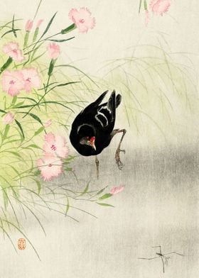 Moorhen and flowers print