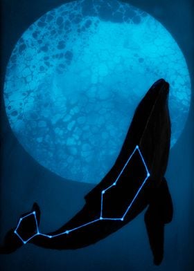Whale Constellation