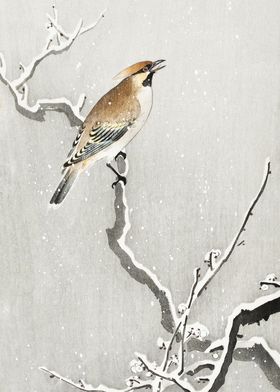 Bird on snowy tree woodcut