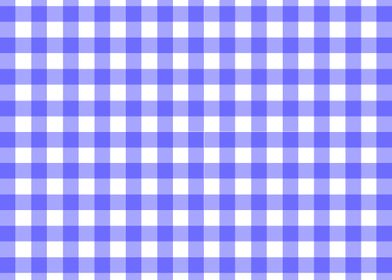 Gingham In Blue