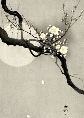 Plum tree flowers and moon