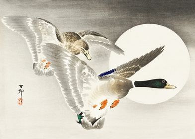 Mallard ducks and moon art