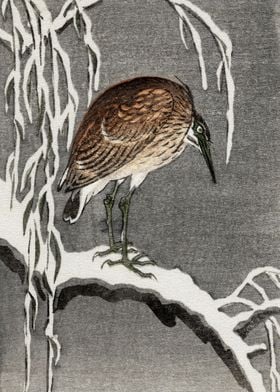 Bird on snowy tree woodcut