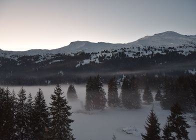 neblige schneelandschaft