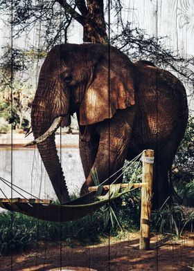 Elephant Art