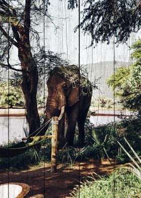 Elephant Art