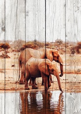 Elephant Art