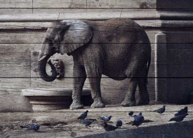 Elephant Art