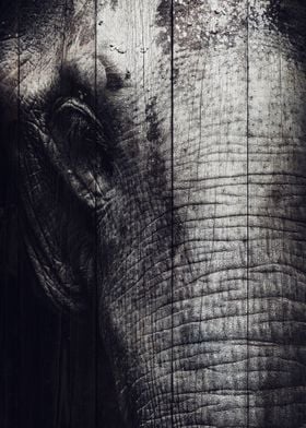 Elephant Art