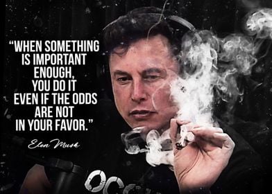 Elon musk quote