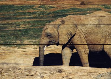 Elephant Art