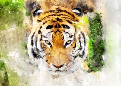 Tiger in Watercolour