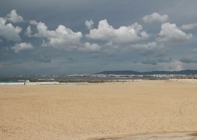 Gray beachscape