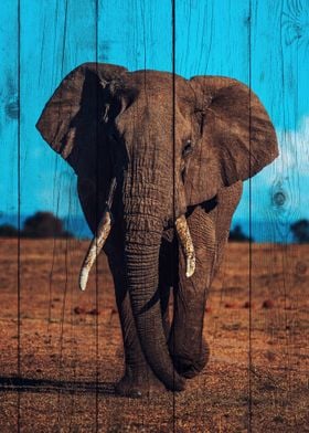 Elephant Art