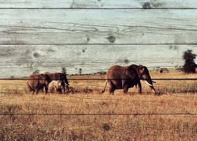 Elephant Art