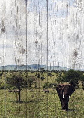 Elephant Art