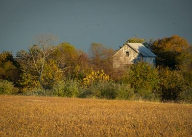 Abandoned Barn Landscape