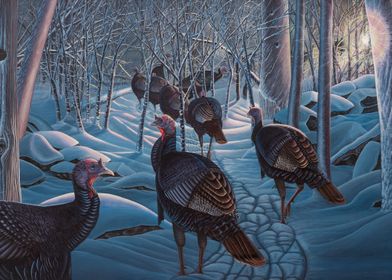 Winter Turkeys