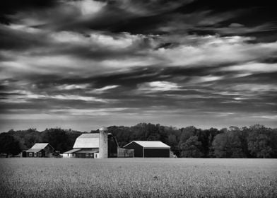 Black and White Barn