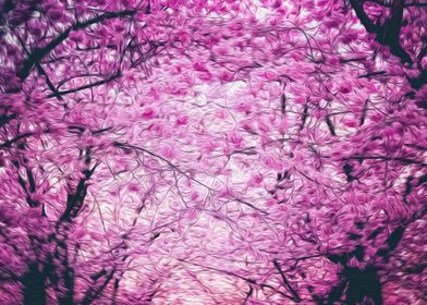 Pink Blossom