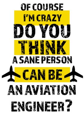 Aviation engineer